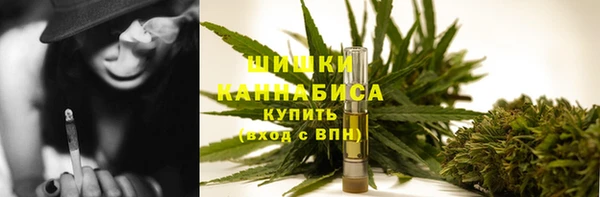 винт Абаза