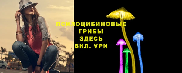 винт Абаза