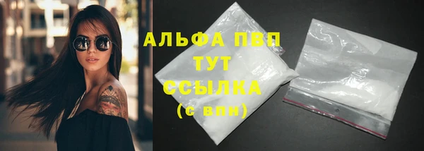 винт Абаза