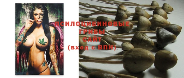 винт Абаза