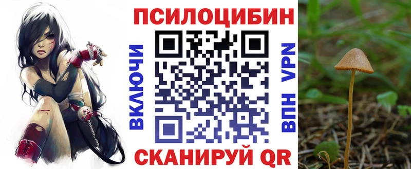 Галлюциногенные грибы мицелий  Власиха 